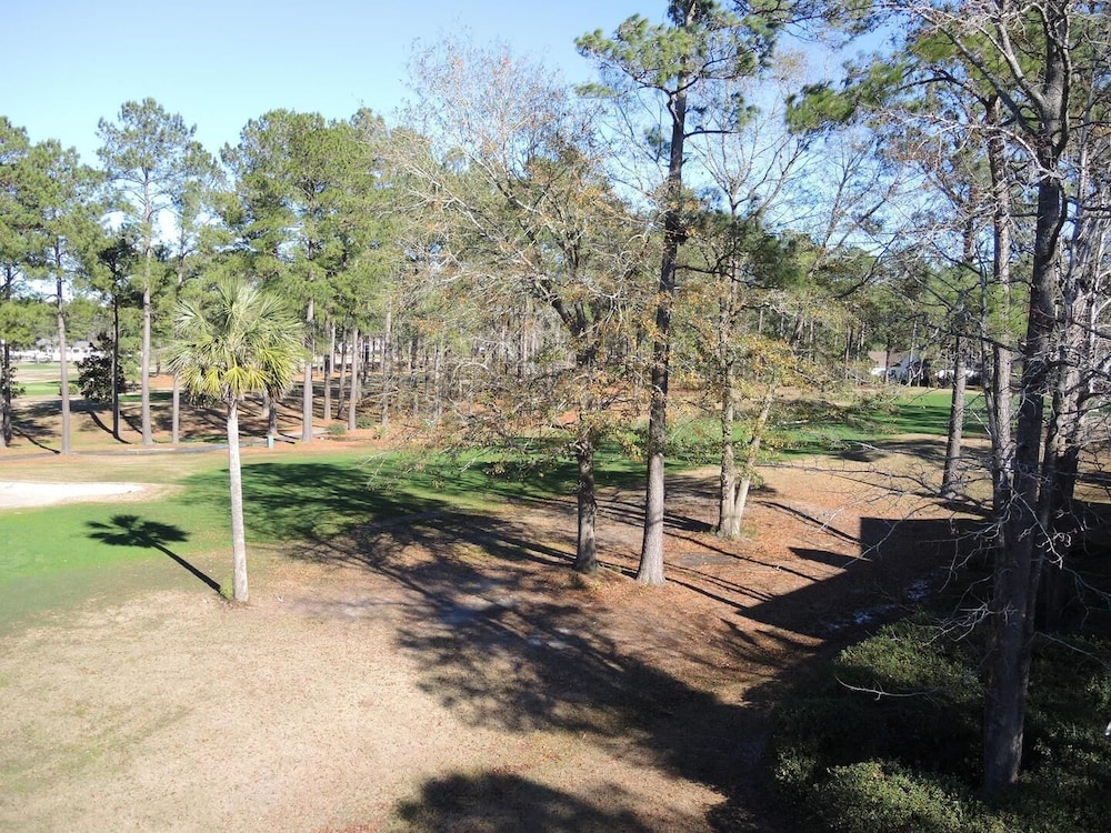 Family Friendly Brunswick Plantation Villa 1609 with Great Resort Amenities by RedAwning - photo 31