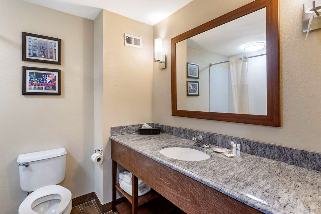 Comfort Inn & Suites Atoka Millington - photo 30