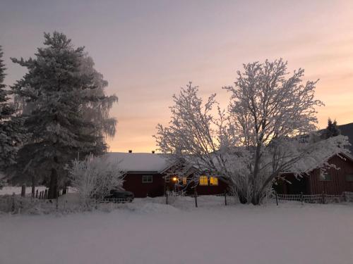 Villa Soltun — 4-Star Luxury Hotel in Ringebu, Norway