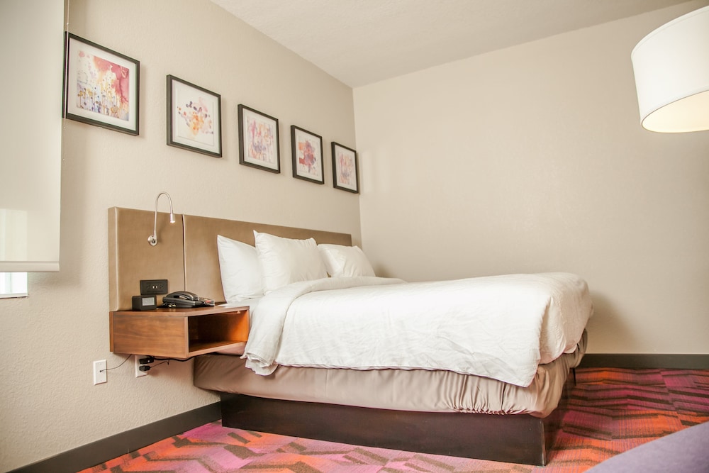 Hilton Garden Inn Tampa Suncoast Parkway - photo 5