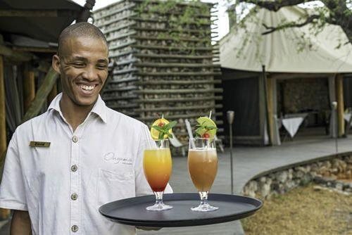 Onguma Tented Camp — 4-Star Luxury Hotel in None, Namibia
