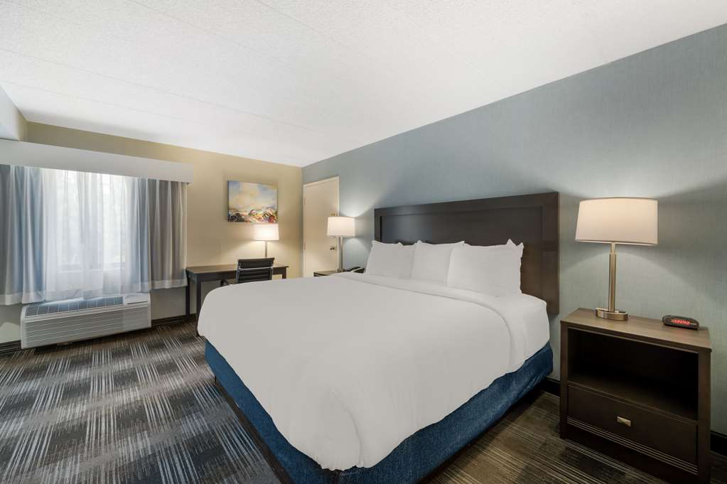 Best Western Plus Alexandria Fort Belvoir - photo 31
