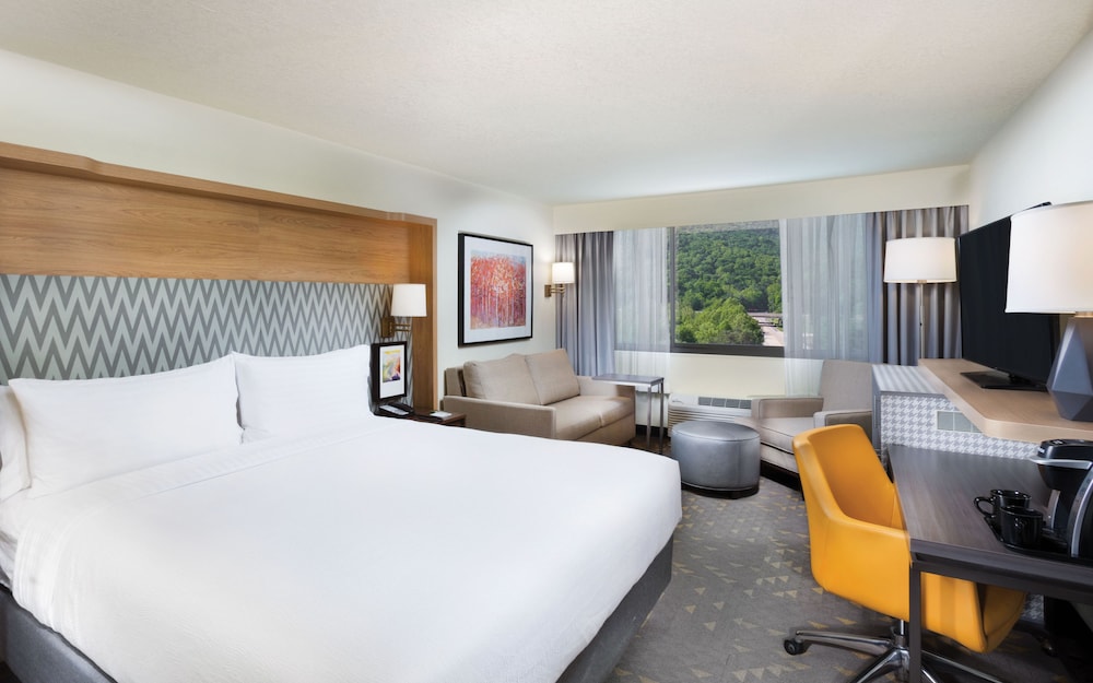 Holiday Inn Asheville East Blue Ridge PKWY an IHG Hotel - photo 5