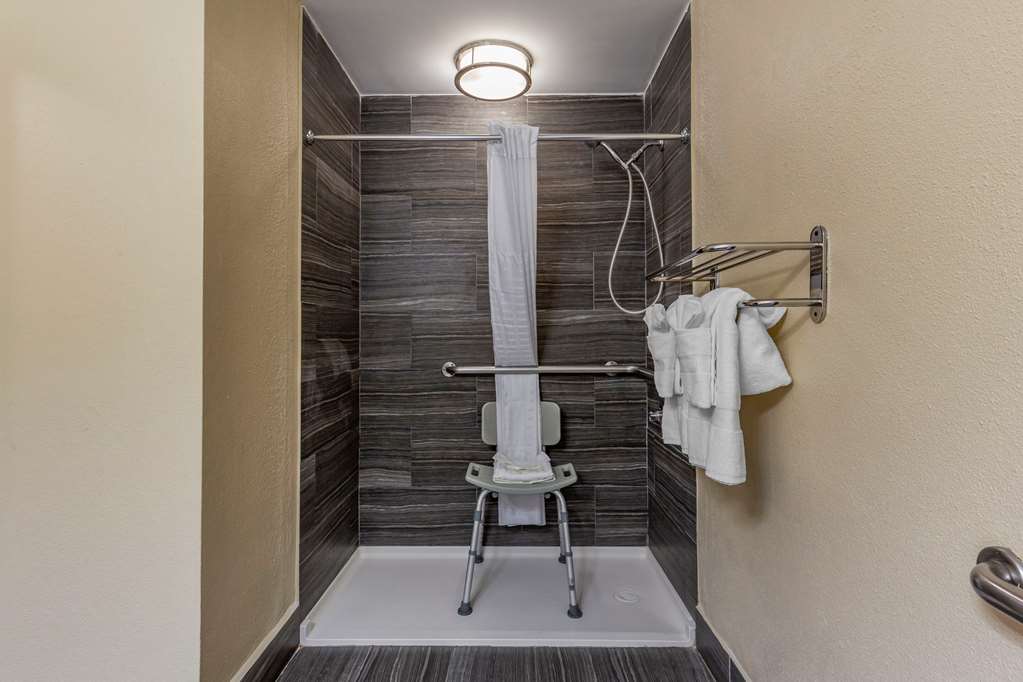 Comfort Inn Fort Mill Amusement Park at Carowinds Blvd - photo 6