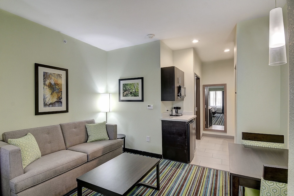 Holiday Inn Express & Suites Carrizo Springs by IHG - photo 13