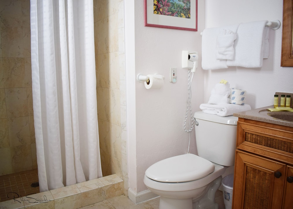 Amoray Dive Resort - photo 18