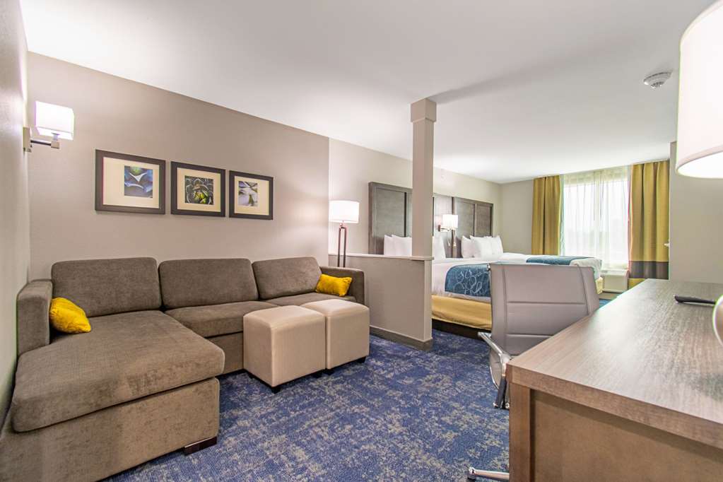 Comfort Suites Humble Houston IAH - photo 10