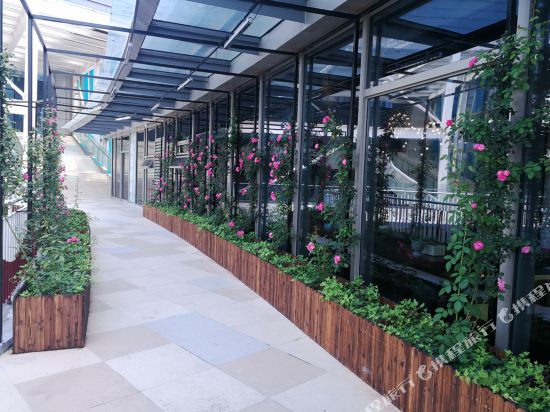 Rose Art Hotel - last minute hotel in Ningbo