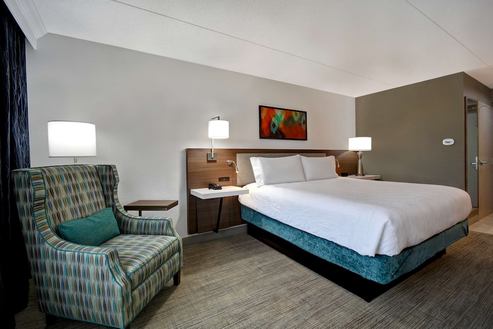 Hilton Garden Inn Detroit Metro Airport - photo 25