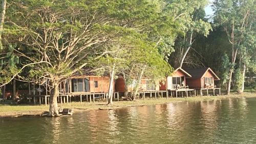 Shamballa Dok krai in Pluak Daeng, Thailand