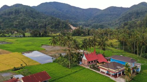 Rumah Gadang Tokama Simarasok — Baso