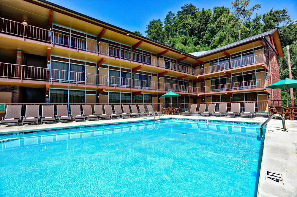Wild Bear Inn - featured photo