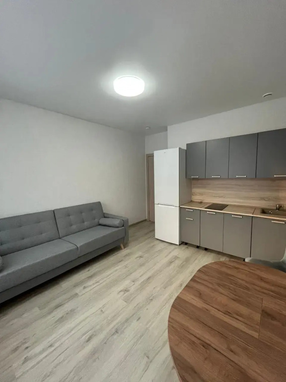 Uyutnaya U Ekspo Perm Flat - carbon neutral hotel in Perm
