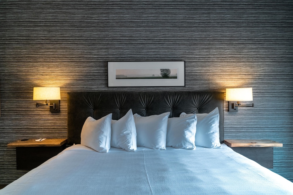 Hotel Crosby - photo 25