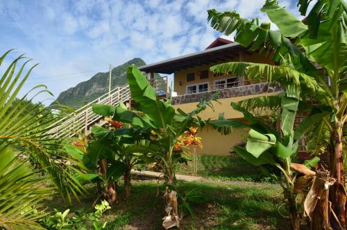 Kaye Coco — Soufriere — photo 2