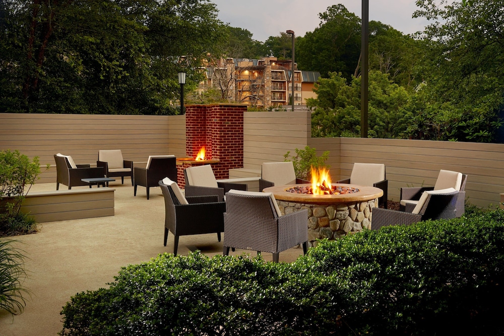 Residence Inn by Marriott Asheville Biltmore - photo 21