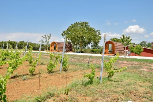 Terre Di Nacchia - last minute hotel in Capodimonte