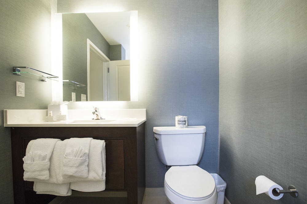 Residence Inn by Marriott Philadelphia Great Valley Malvern - photo 22