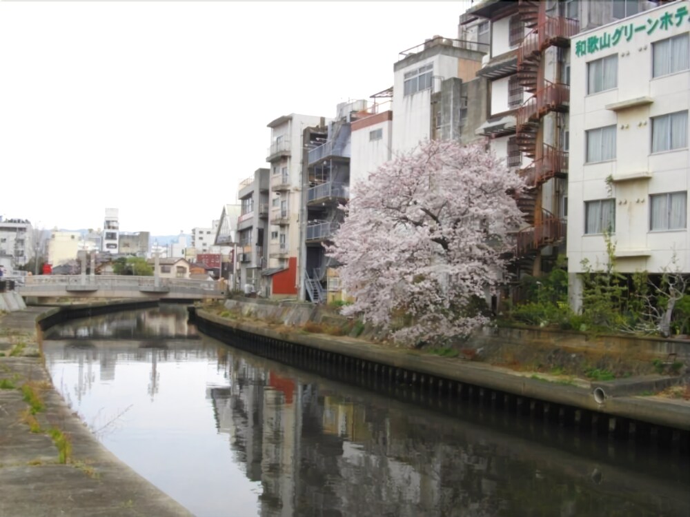 Wakayama Green Hotel in Wakayama, Japan