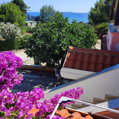 Apartments Vir Delfin — 4-Star Luxury Hotel in Vir, Croatia