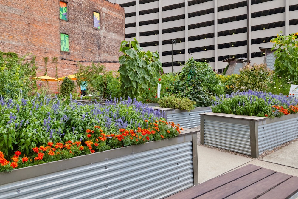 Hotel Indigo Detroit Downtown by IHG - photo 114