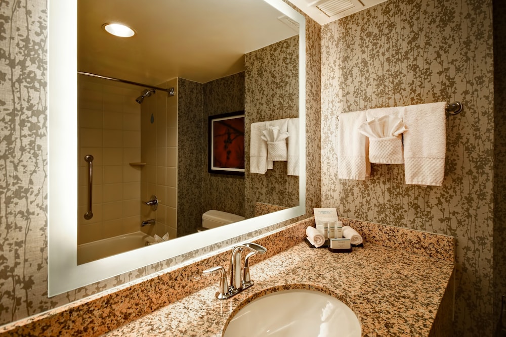 Embassy Suites by Hilton Dulles Airport - photo 29