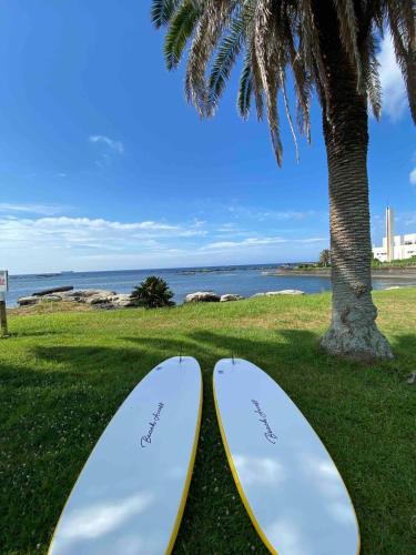 Sunaoretreat奥白浜 — Minamiboso — photo 4
