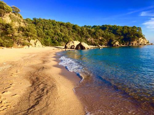Bungalow Cala Canyelles — 4-Star Luxury Hotel in Lloret De Mar, Spain