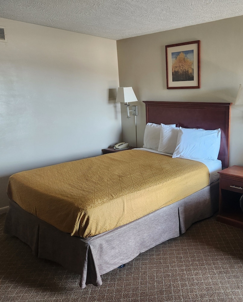 Royal Motel - photo 25
