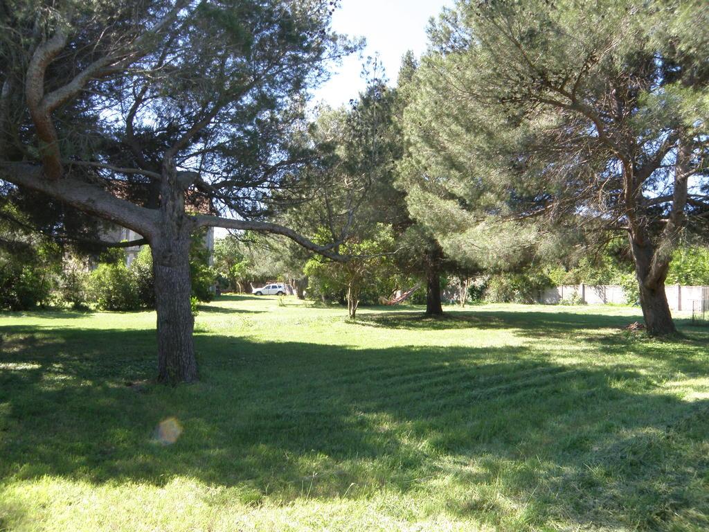 Un Nid En Camargue — Arles — photo 4