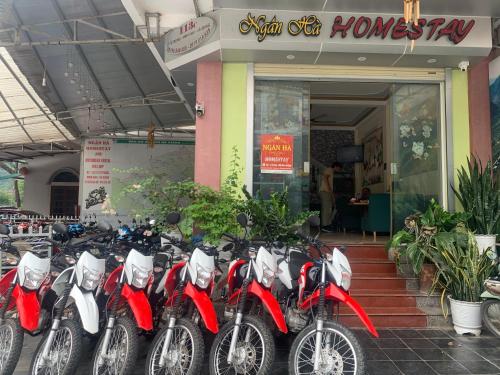 Ngan Ha Homestay — 5-Star Luxury Hotel in Ha Giang, Vietnam