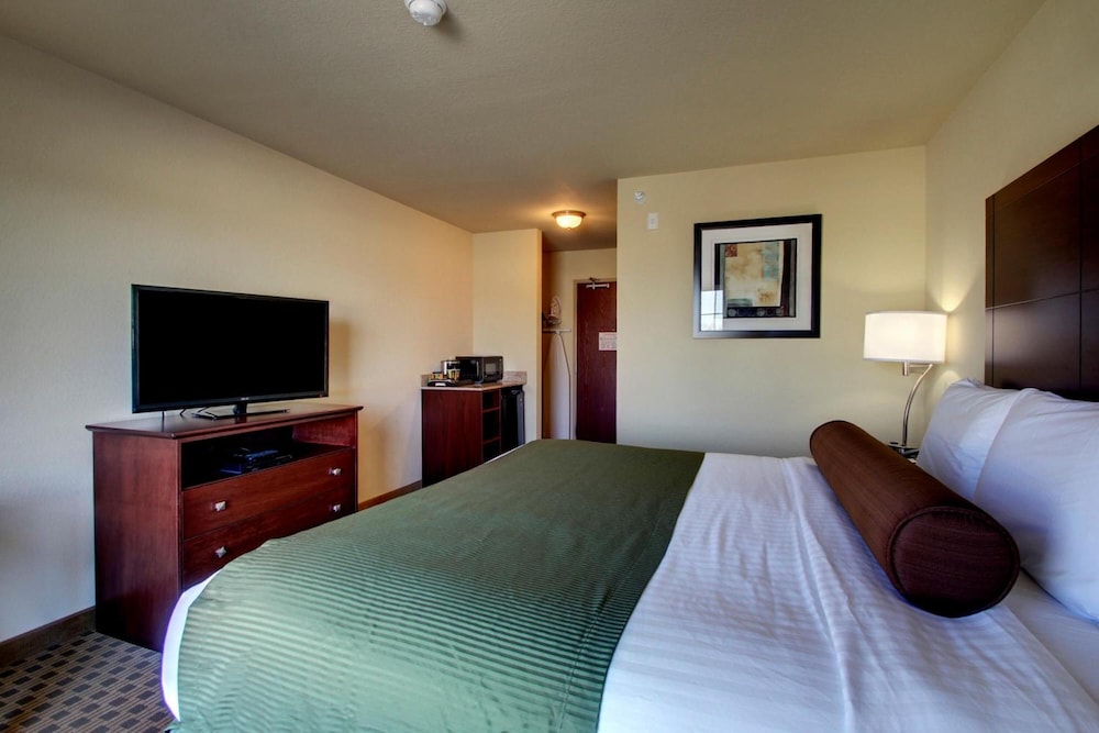 Cobblestone Inn & Suites Carrington - photo 19