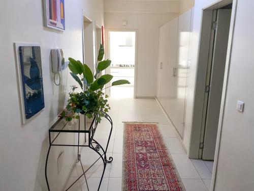 Appartement F3 Point E Cosy et Spacieux — 4-Star Luxury Hotel in Dakar, Senegal