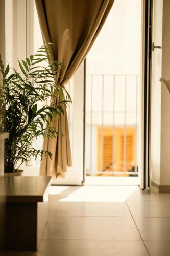 Nina Mia in Fasano, Italy