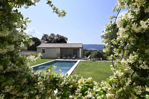 Les Agapanthes De Gordes — Gordes
