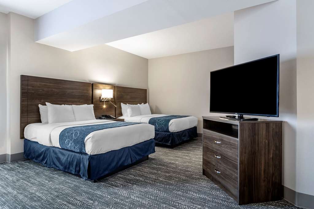 Comfort Suites McDonough Atlanta South - photo 6