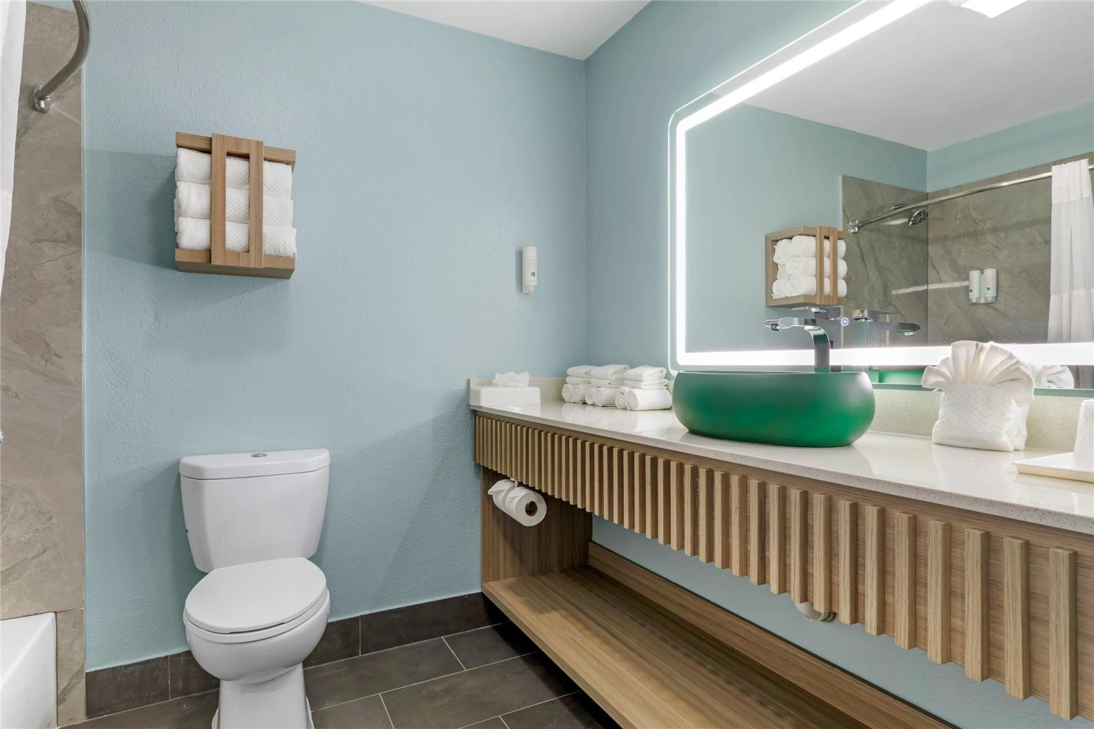 Quality Inn Mesquite Dallas East - photo 20