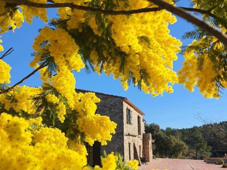 Mas la Cassanya — hotel in Terrades