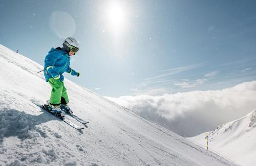 Trimka - carbon neutral hotel in Fiesch