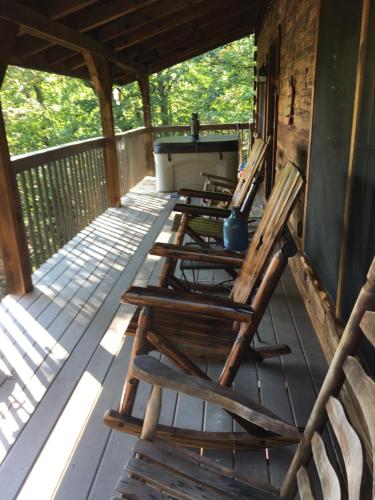 Bears Among Us in Gatlinburg, United States