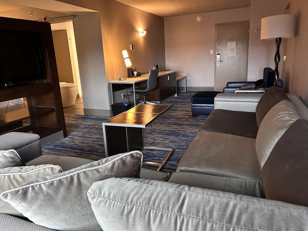 Skyline Hotel Detroit Airport SureStay Collection by BW - photo 16