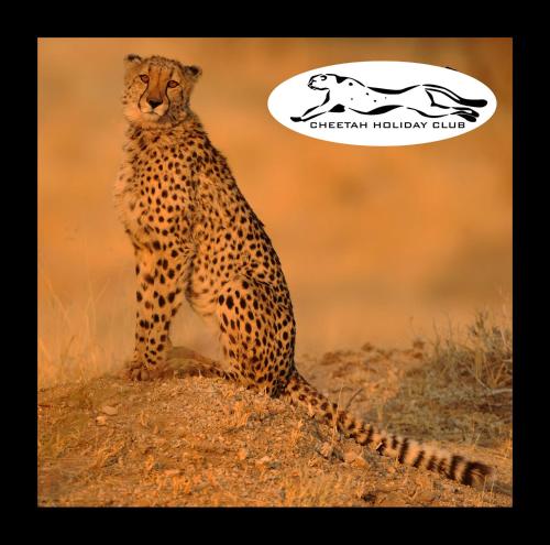 Cheetah Holiday Club — hotel in Vizovice