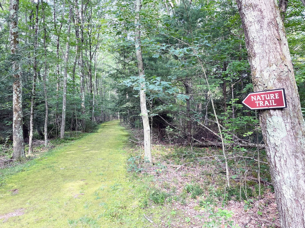 Mountain Springs Lake Resort - photo 364