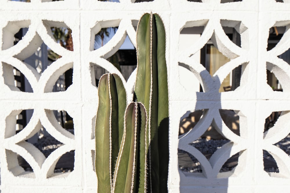 The Rosemary House La Quinta No.218742 — 4-Star Luxury Hotel in La Quinta, United States