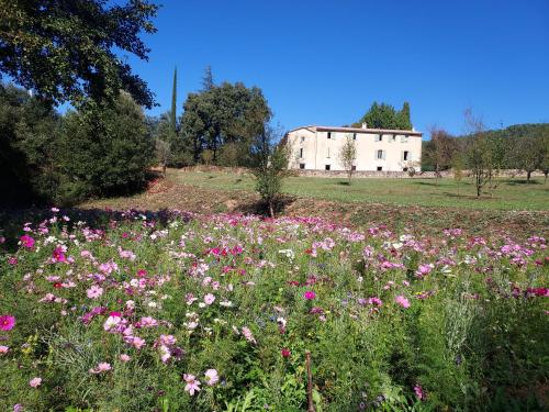Les Jardins de Falguiere in Saint-Jean-Du-Gard, France