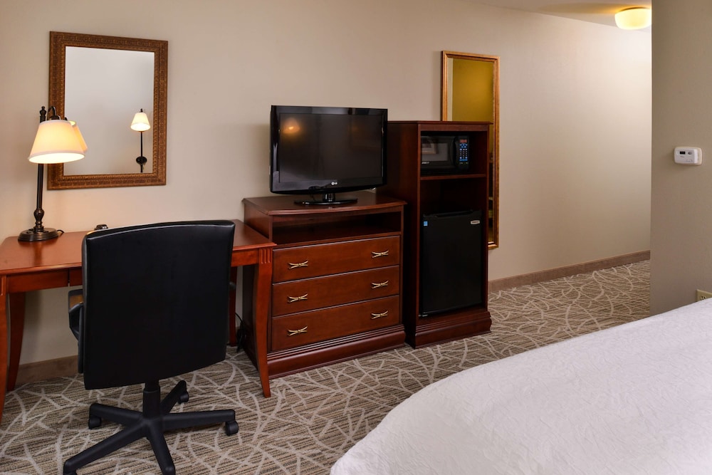 Hampton Inn by Hilton Litchfield - photo 17