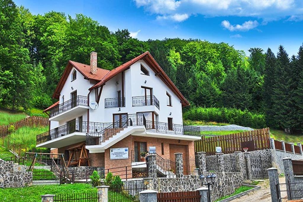Charming Villa in a Private Mountain Resort in Predeal, Romania