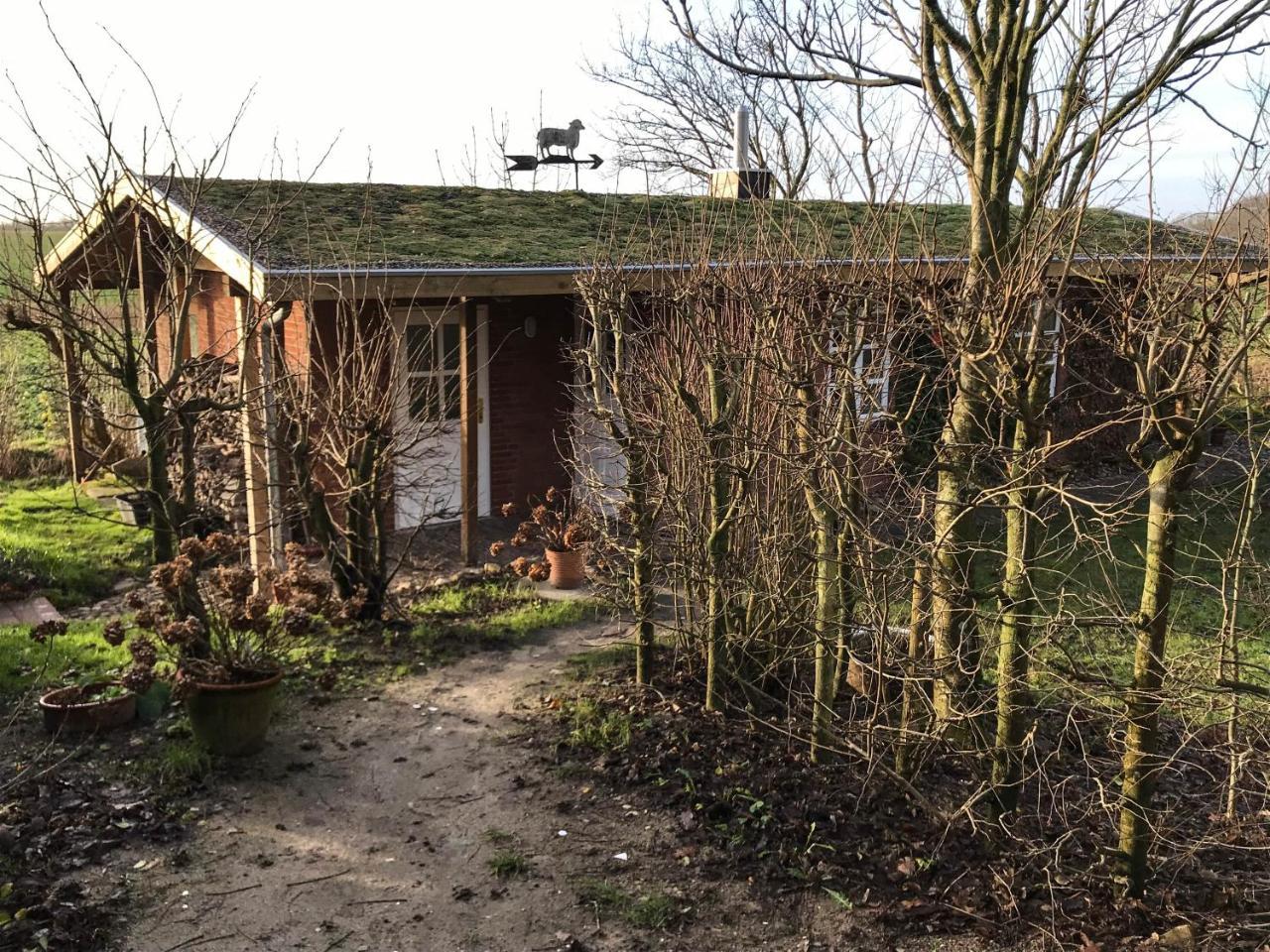 Gartenhaus Frieda - last minute hotel in Unknown City