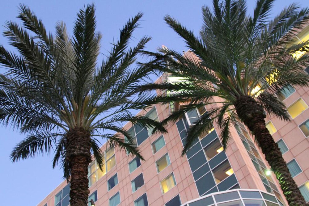 Moody Gardens Hotel Spa and Convention Center - photo 76
