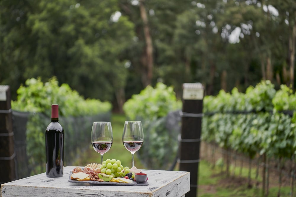 Vineyard